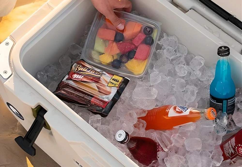 chest freezer cooler