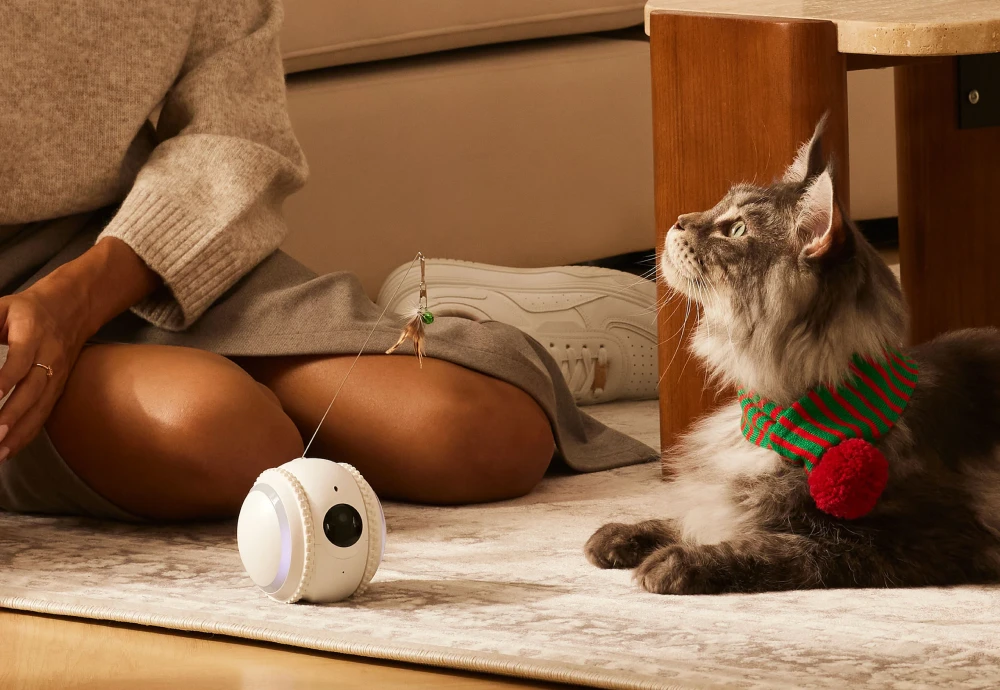 best home camera for pets